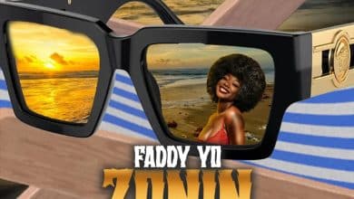 Faddy Yo feat. Steevy Franch - Zonin