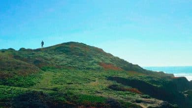 Darren Waller - In The Valley